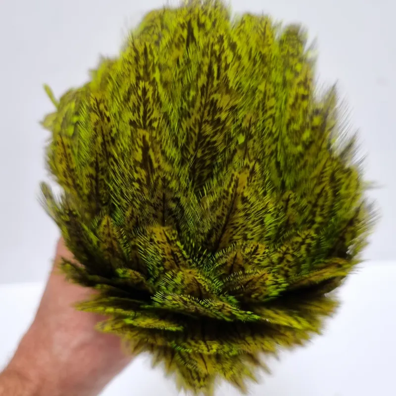 Whiting Coq de Leon Hen Cape in Speckled Fl.Green Chartreuse-9